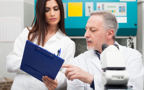 Harvard University: Special Report On Age Related Macular Degeneration