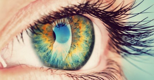 FDA Approves First Artificial Iris